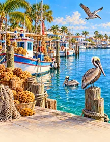 Tarpon Springs Waterfront